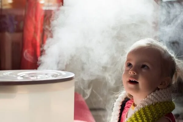 how to clean a humidifier