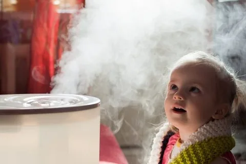 how to clean a humidifier