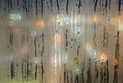 why you need dehumidifier reviews