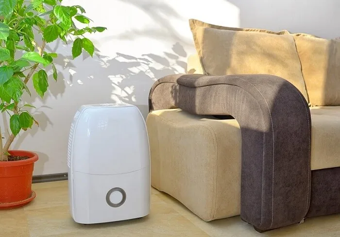 Portable dehumidifier next to couch